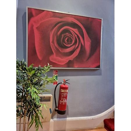 F301-Awesome 3Rd Flr Studio Fits 1 Near Hyde Park 런던 외부 사진