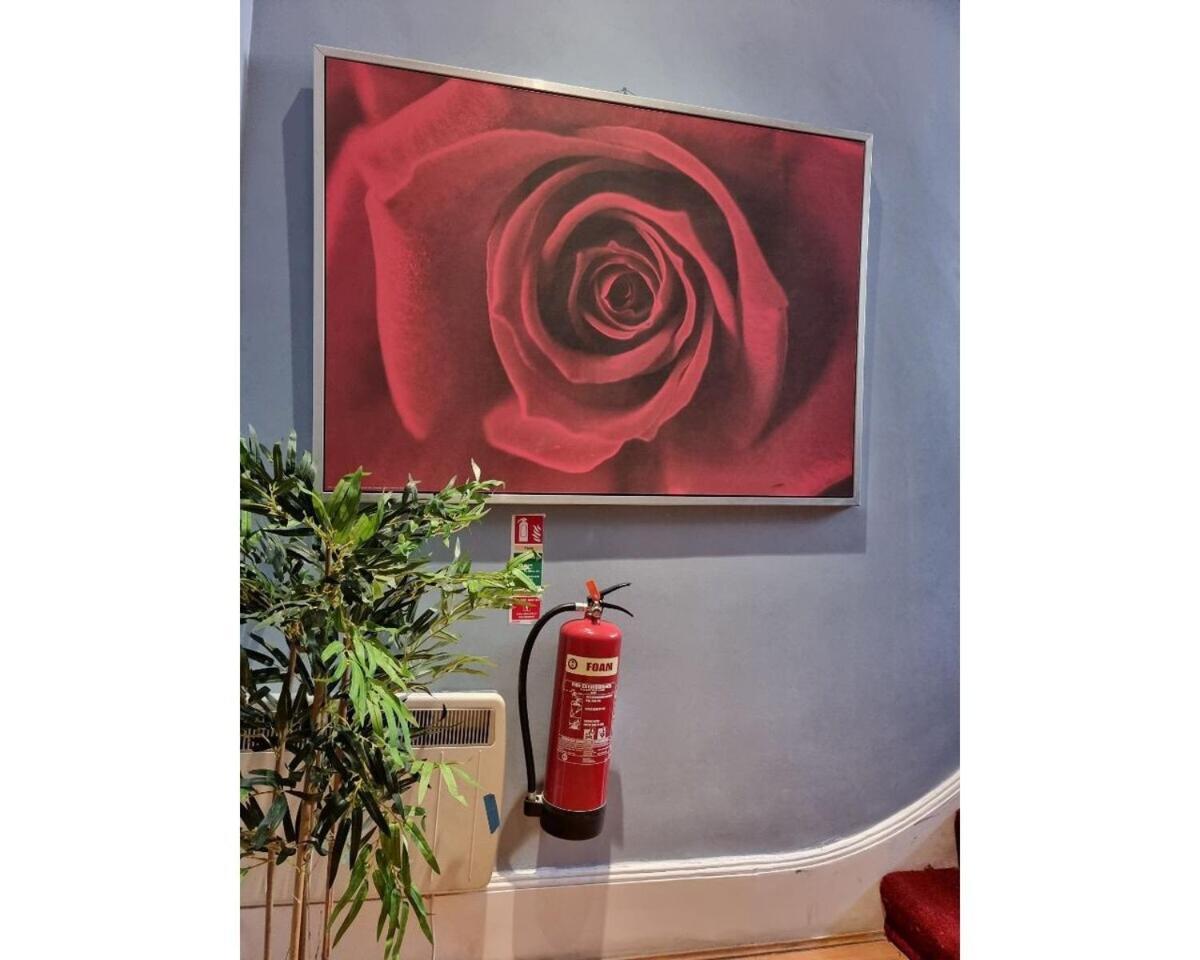 F301-Awesome 3Rd Flr Studio Fits 1 Near Hyde Park 런던 외부 사진